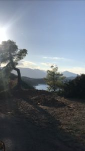 XVI. Super war auch die Quadtour, die wir auf der Insel Poros unternommen haben.