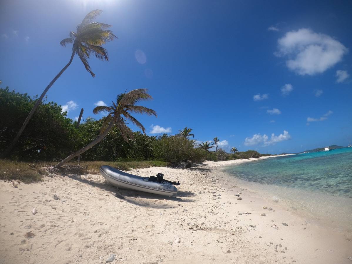 Palmen am Strand