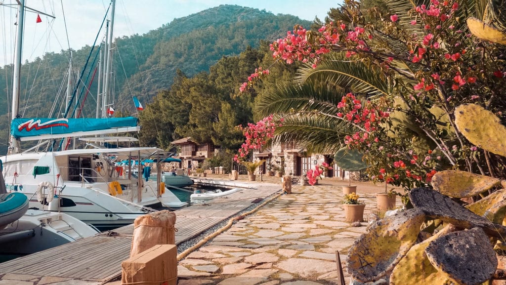 In einem malerischen Yachthafen liegen Segelboote und elegante Segelyachten an einem Steinweg, der mit Topfpflanzen und üppigem Grün geschmückt ist. Kräftige rosa Blüten und große Kakteen sorgen für einen Farbtupfer, während sich im Hintergrund bewaldete Hügel unter einem klaren Himmel erheben.