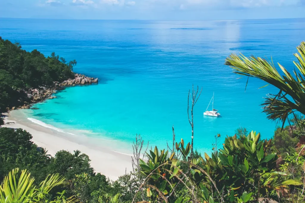 Ein malerischer Blick auf einen abgeschiedenen Strand mit leuchtend türkisfarbenem Wasser und weißem Sand, umrahmt von üppigem Grün. Eine einzelne Segelyacht schwimmt in Ufernähe unter einem klaren blauen Himmel.