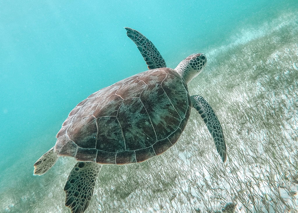 Urlaubsziele Fernreise: Wohin soll's gehen?