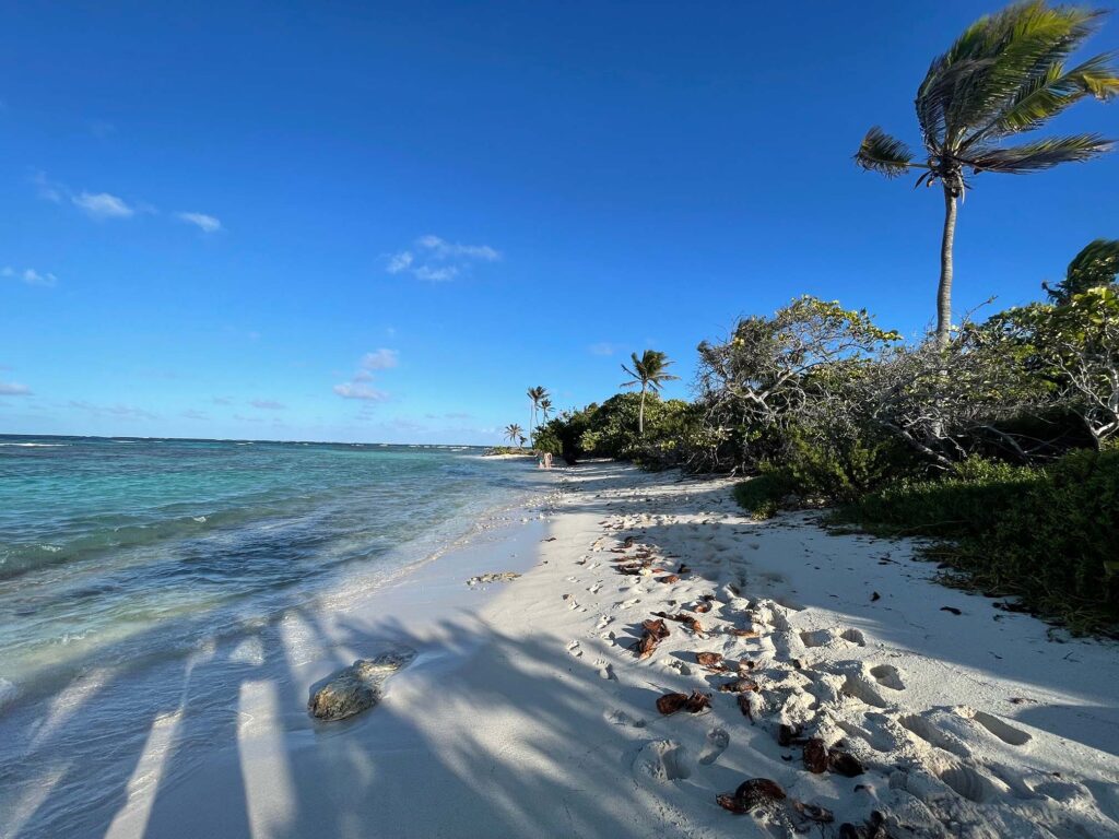 Sailing into a sunny paradise: Out of winter, into a long vacation