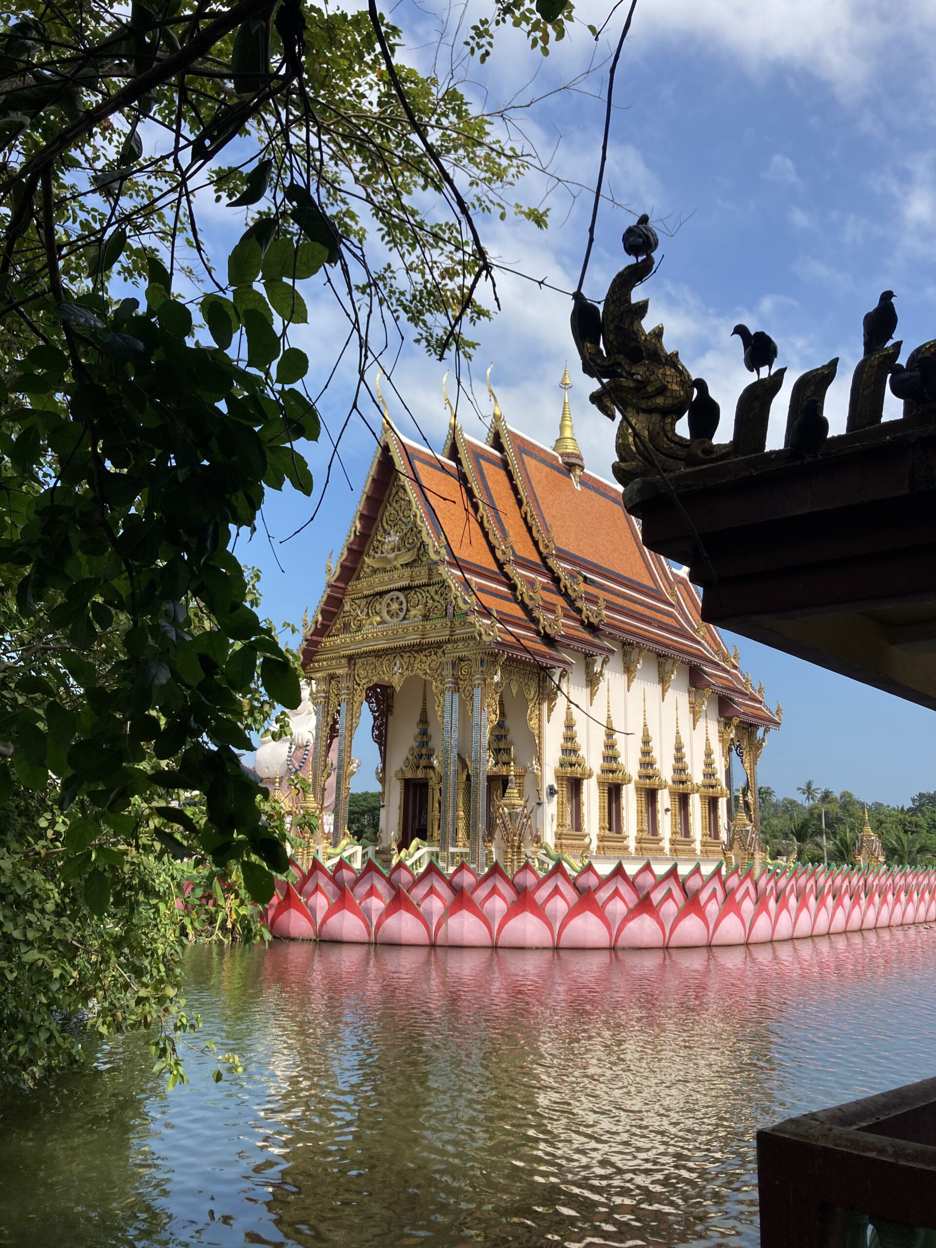 Youngline-Katamaran – Phuket - Bild 1