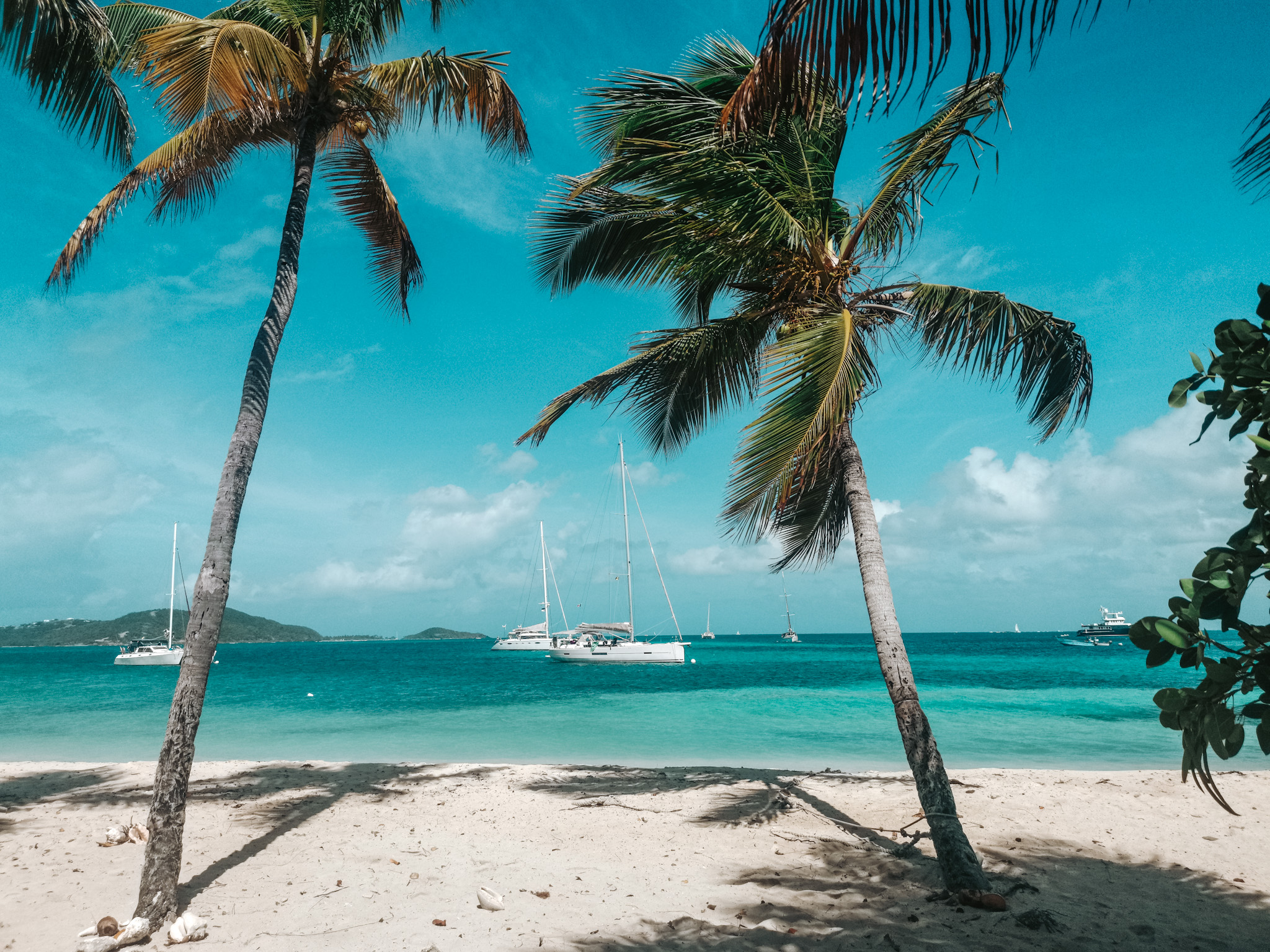 Youngline-Katamaran – Martinique - Bild 5