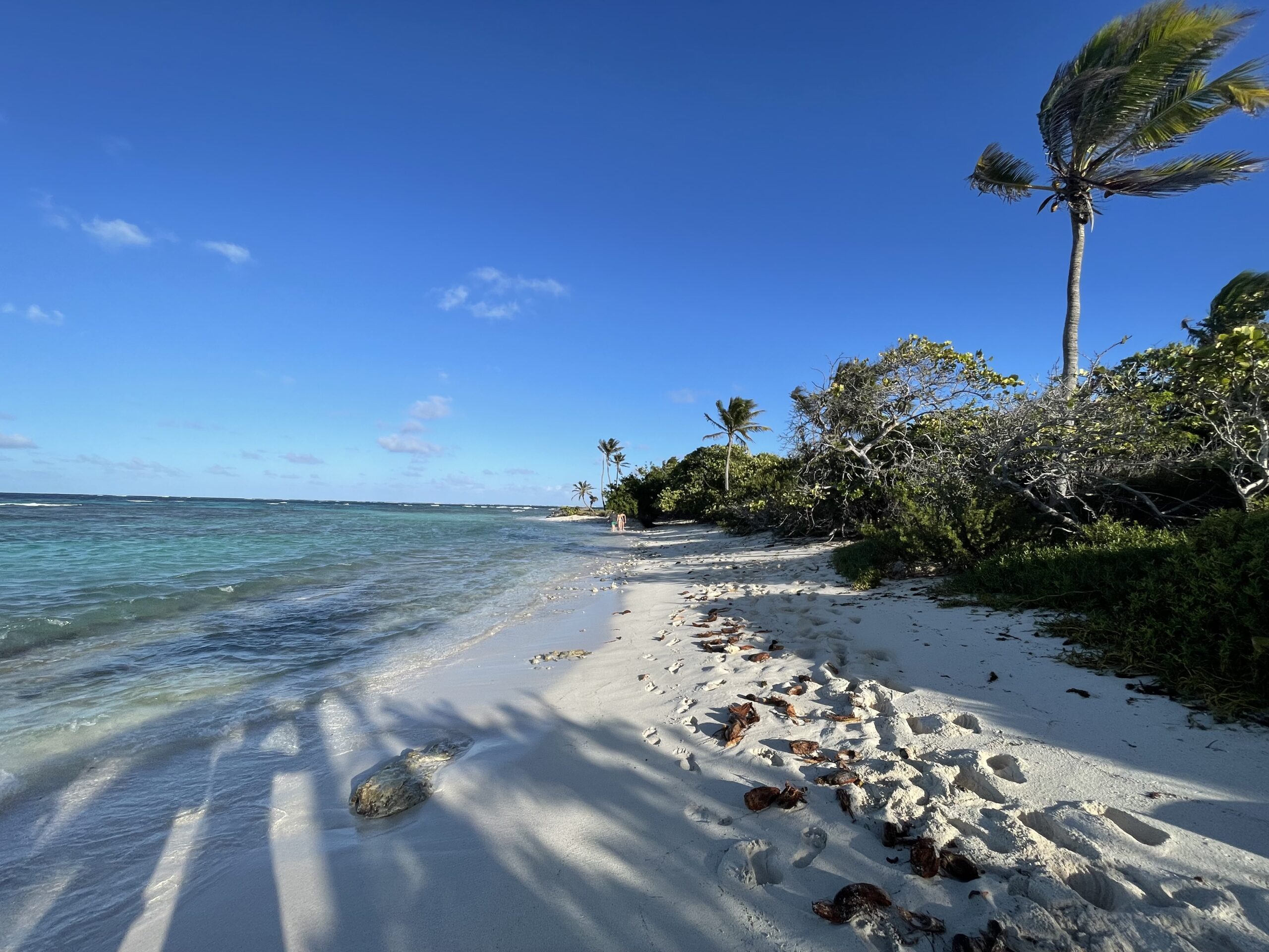 Youngline-Katamaran – Martinique - Bild 3