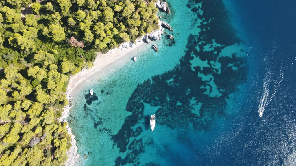 Fantastic bays