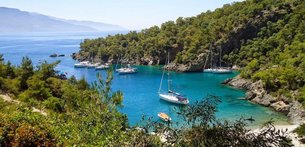 Eine ruhige Bucht mit kristallklarem blauem Wasser, umgeben von üppigen grünen Bäumen, wo mehrere Segelyachten unter einem strahlend blauen Himmel vor Anker liegen.