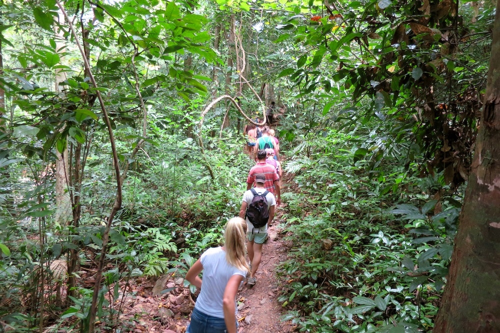 Eine Gruppe Wanderer mit Rucksäcken läuft auf einem schmalen Feldweg durch einen üppigen, dichten Dschungel mit dichtem grünem Laub und Bäumen auf dem Weg zu einem Segelyacht-Abenteuer.